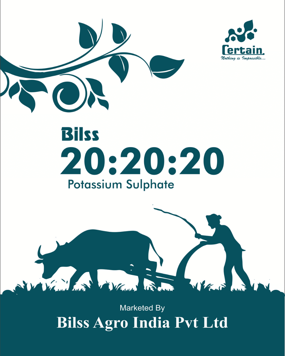 Bilss 20:20:20